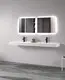 royal wall hung double basin sink for home 2