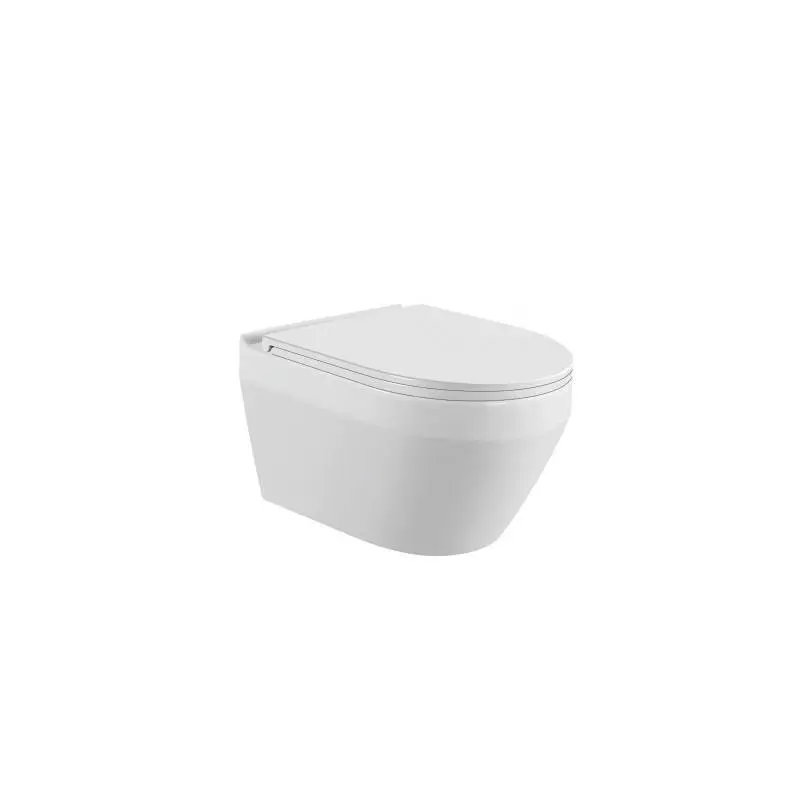 WC sospeso dall'eleganza snella e sofisticata salvaspazio per il moderno 1