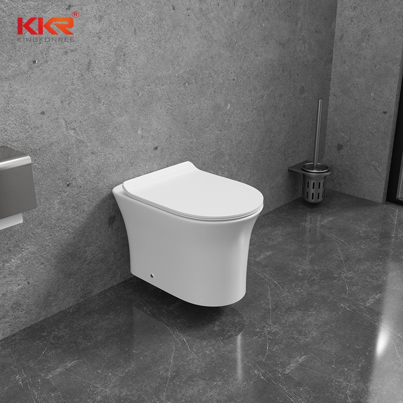 Toilettes toilettes-toilettes standard Ensemble de vaisseaux sanitaires en céramique Toilet pendais avec siège de toilette pour salle de bain 1